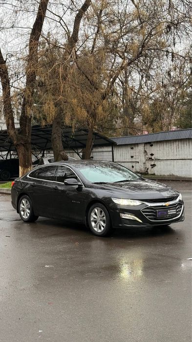 •Malibu 2 Turbo 2019/2020•