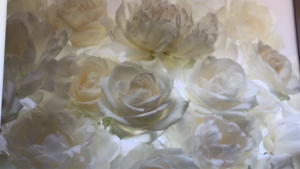 Строително-ремонтни дейности ПАЛАСТ ГРУП