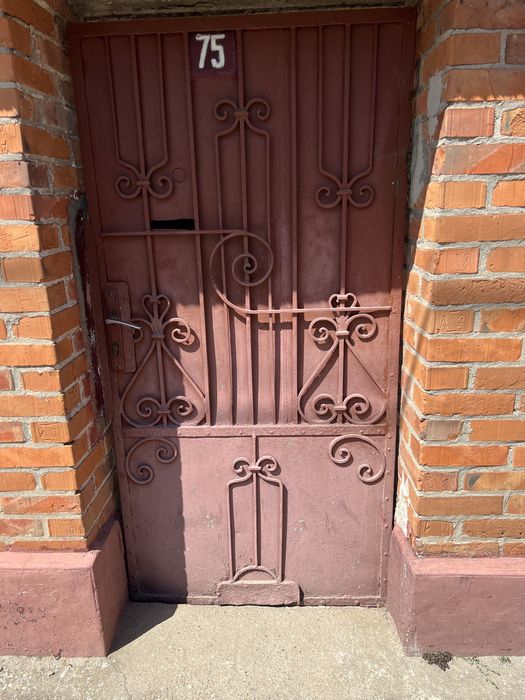 Vand poarta si panou gard fier forjat