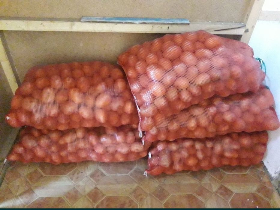 Продам Картофель