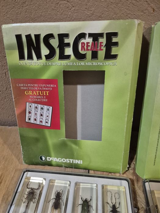 Colecție insecte reale  DeAGOSTINI