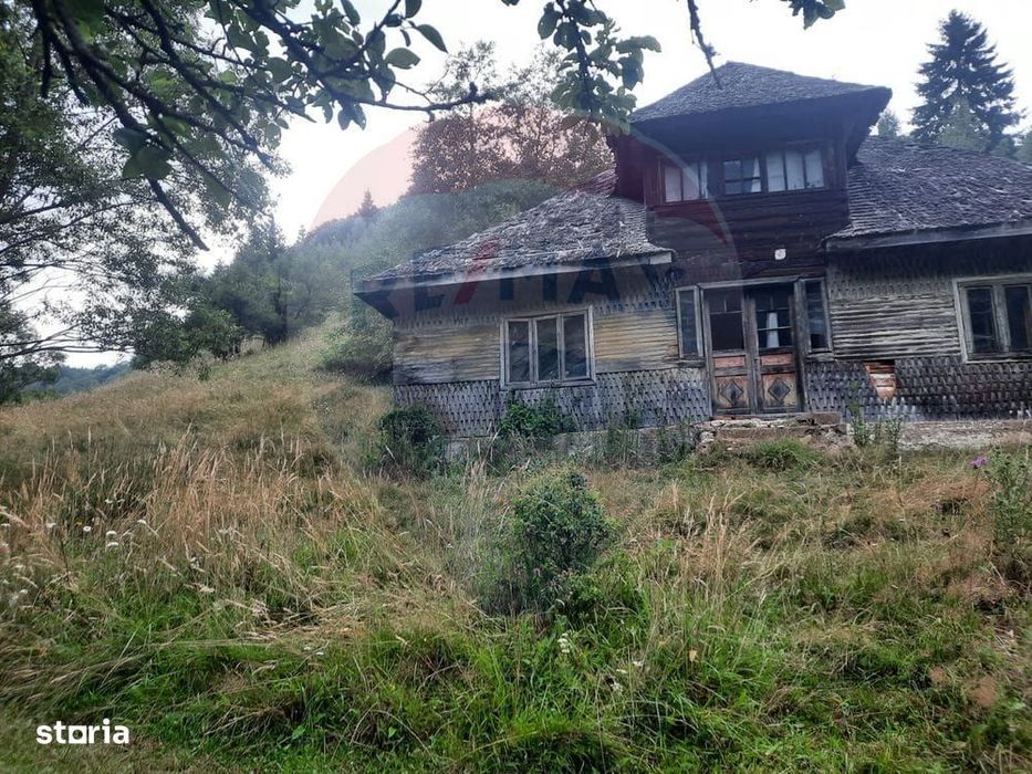 Teren 38,704mp Sirnea | 2.000 mp Intravilan | 36,704 Extravilan