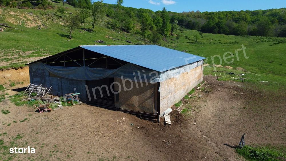 Teren cu stană de vânzare în apropiere de Curtea de Argeș.