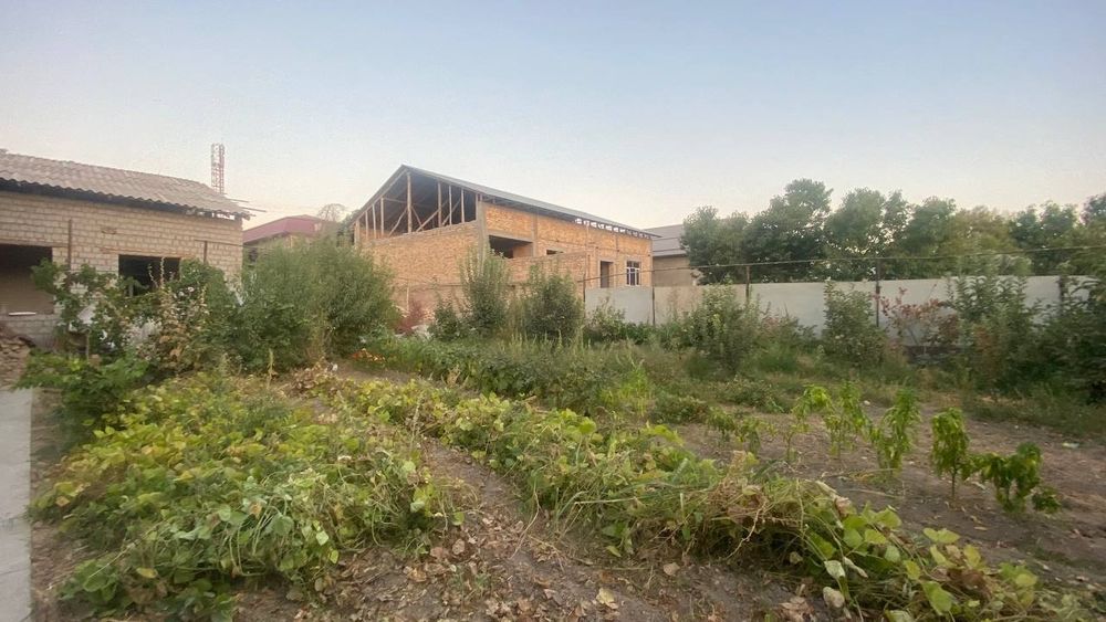 Uchastka 3 sotix sotiladi uzumzorda