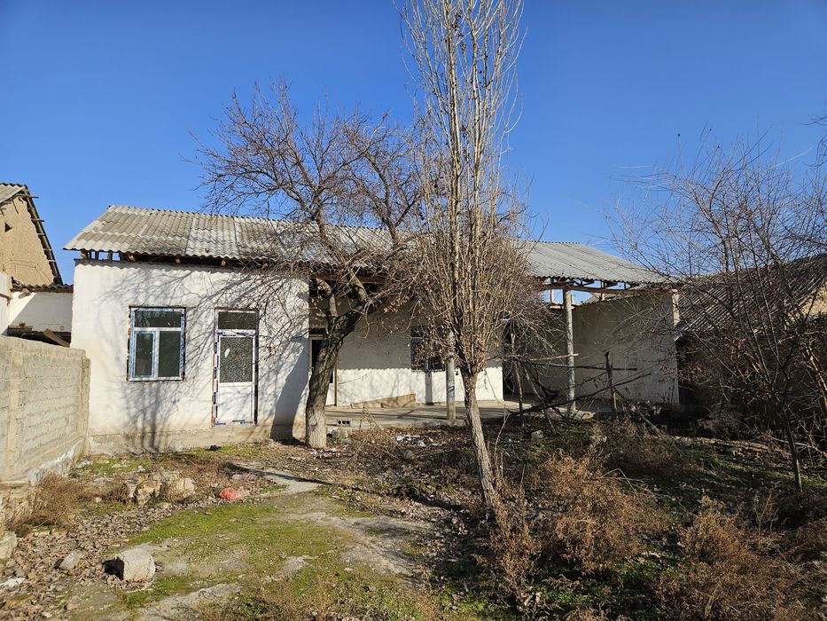 Молхона, уй кадастр бор