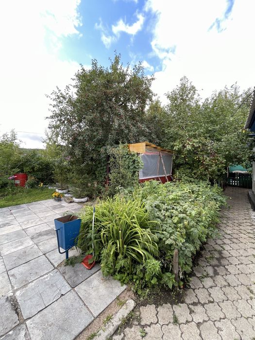 Продам дом с бизнесом