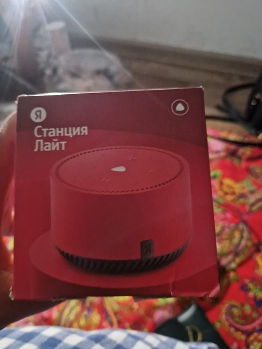 Алиса яндекс лайт