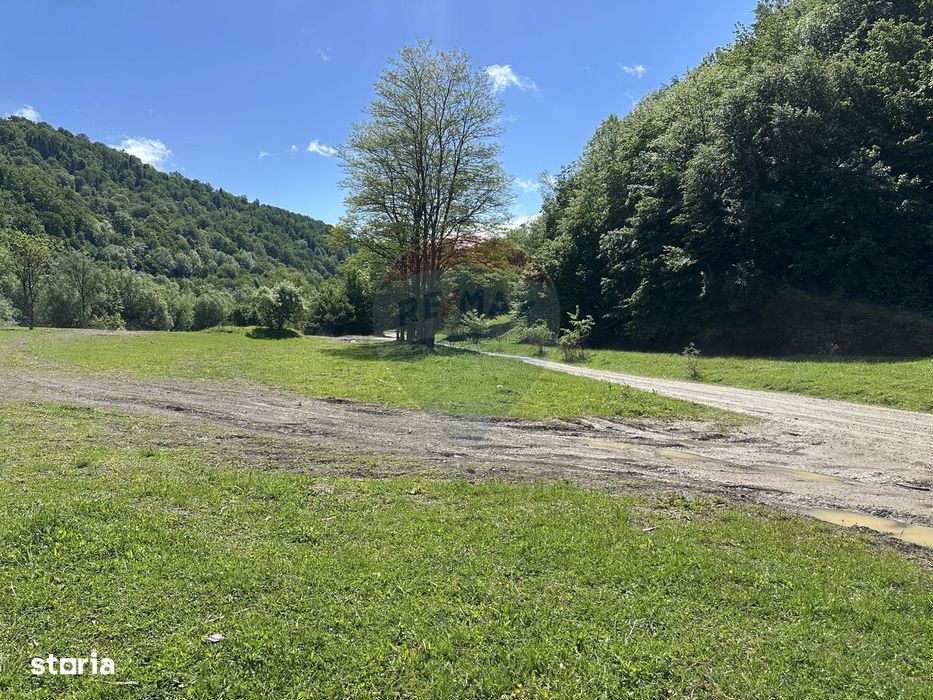 Teren 1,340mp Cuejdiu / Strada Cuejdiului