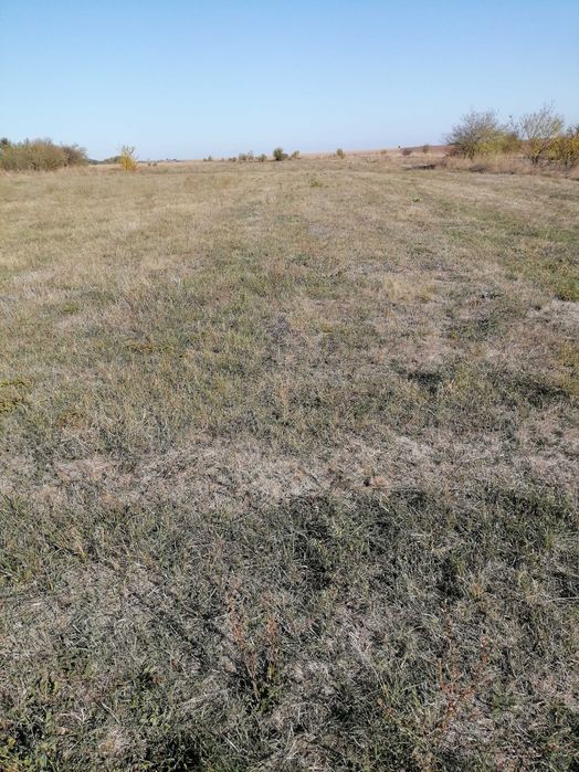 Продава се Парцел в Монтана, Идеален център - 3000 кв.м за 3 €/кв.м - Снимка #3