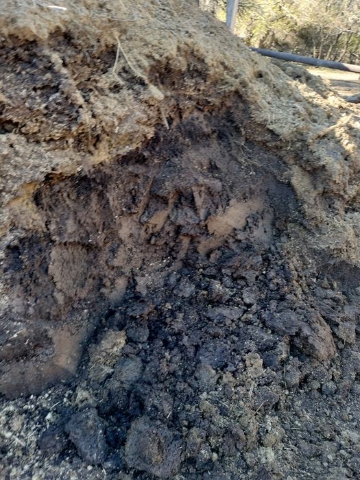 Навоз бесплатно Текели