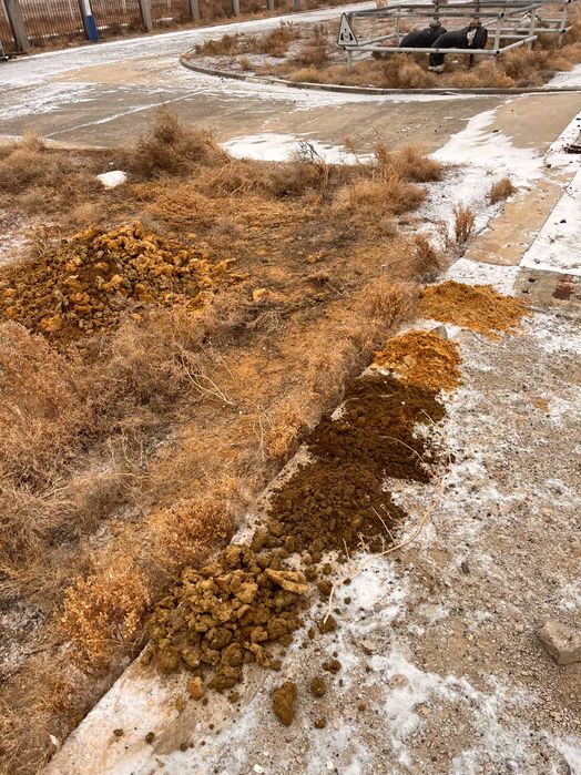 Геология - Геодезия