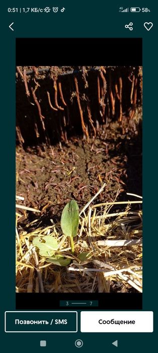 Биогомус минерал угит удобрения 100 фоиз Тоза ювилган махсулот