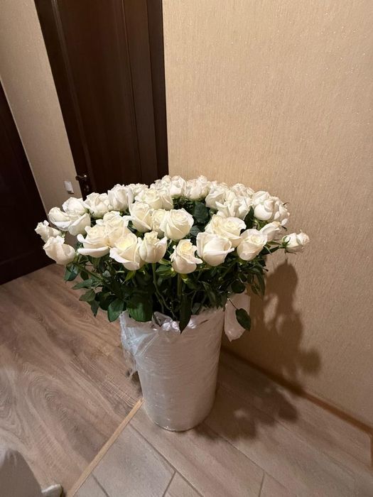 Продам цветок роза