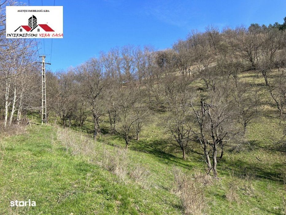 Teren intravilan - extravilan 9,3 Ha de vanzare Matacina Jud Alba
