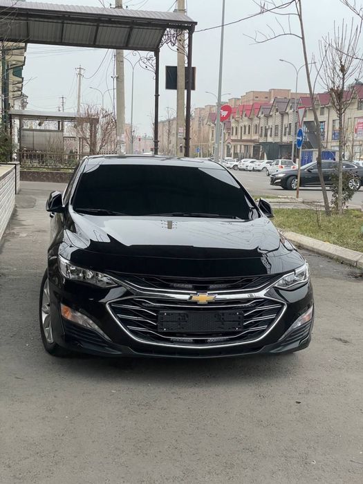 Malibu 2 Premier Morda