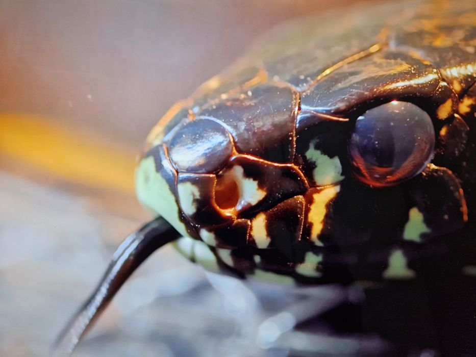 iMac 27 2017 Retina 5K - i5 3.4Ghz, 16GB RAM, Radeon Pro 570 4GB