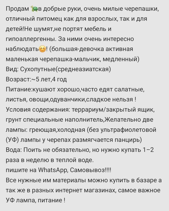 продаю Черепашек