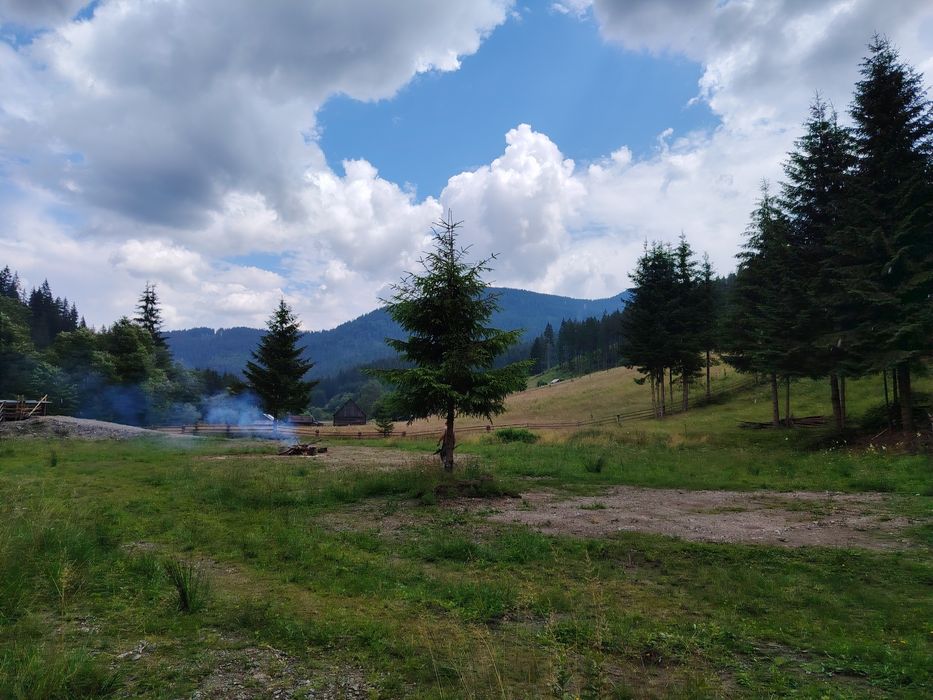 Vând teren în pădure  pt persoanele care doresc să-și construiască cabane din bușteni ,case tip hobbit ,case tradiționale sau să triască off grid..