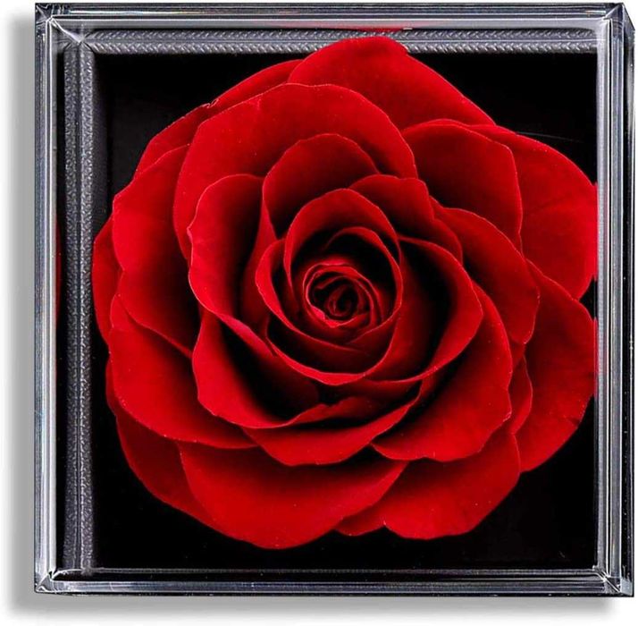 Сребърно колие с камъни в луксозна кутия с вечна роза Подарък за майка