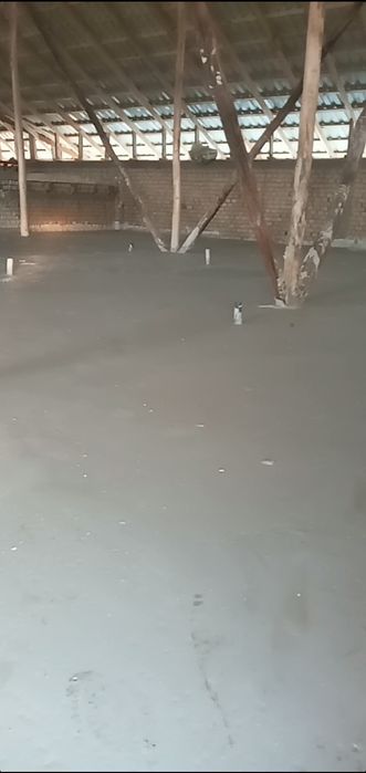 Томга пена ломбоз куйиш хизмати