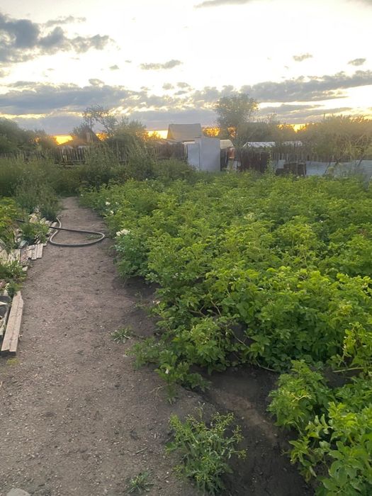 Продается дача на черемушках