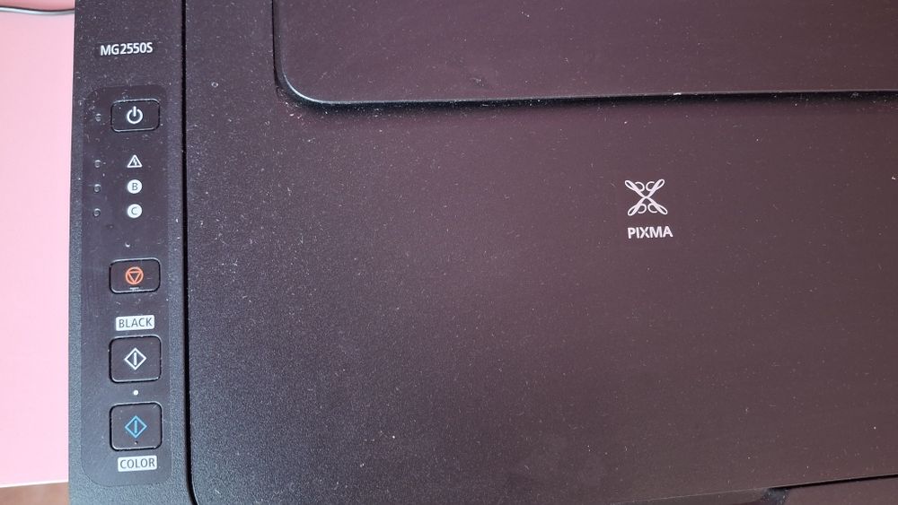 Принтер Canon pixma mg2550s