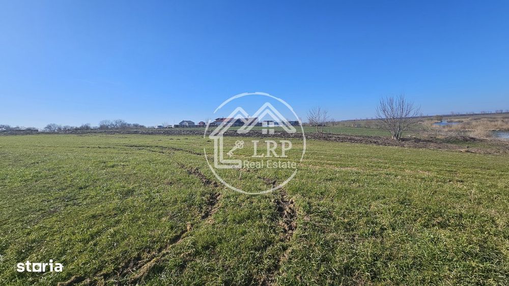 Loturi de Casa pe malul Lacului Creata, Dascalu – 460 mp + Drum serv