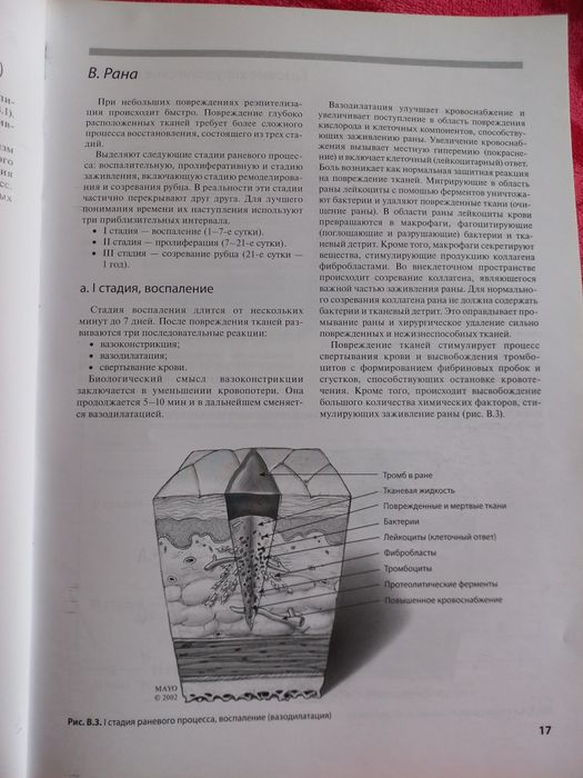 Книга медицина хирургия