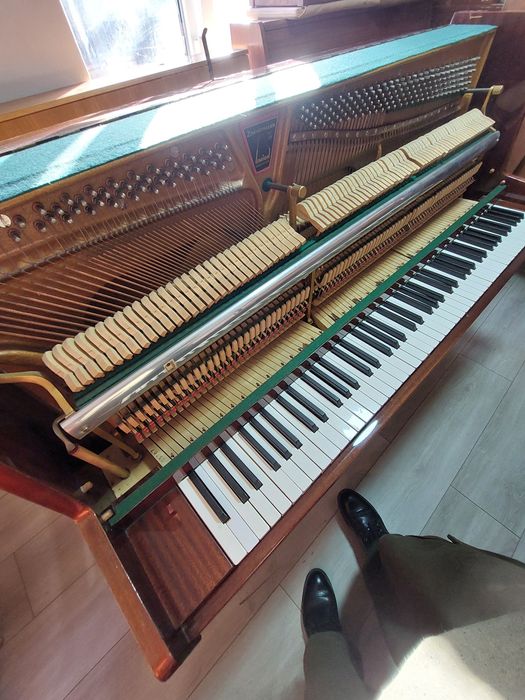 Pianina  Zimmermann  (transport gratuit & garanție)