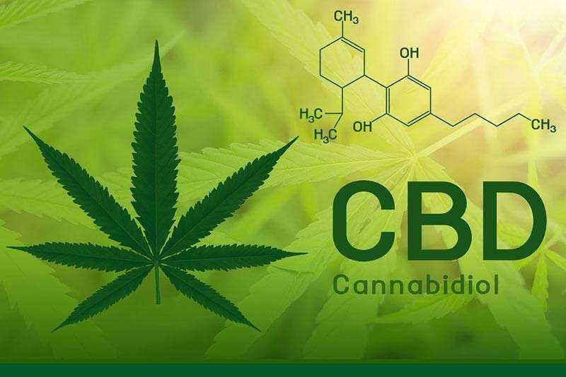 30% CBD Конопено Олио 3000 mg. 10 мл. - Пълен спектър