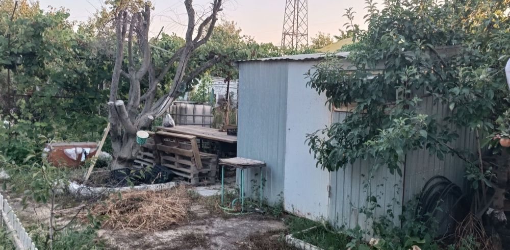 Огород. 2 сотки. Родничок 1.