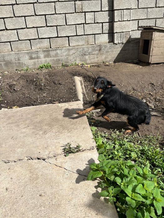 Ягтерер ургашы .