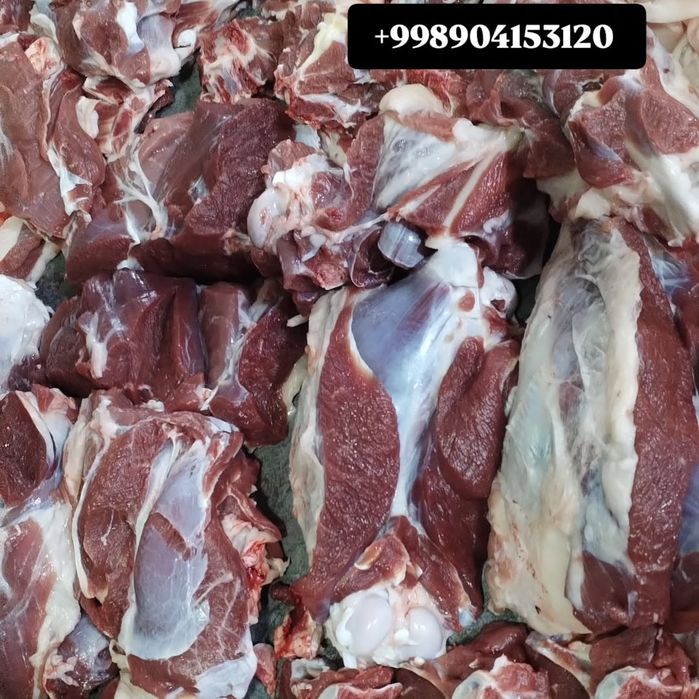 Qassob servis  Siz izlagan Tam va sifat uygʻunligi