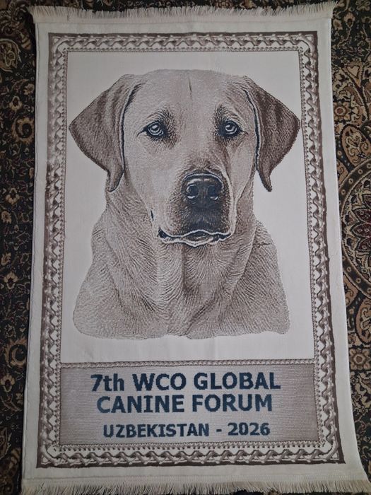 Портрет на ковре!