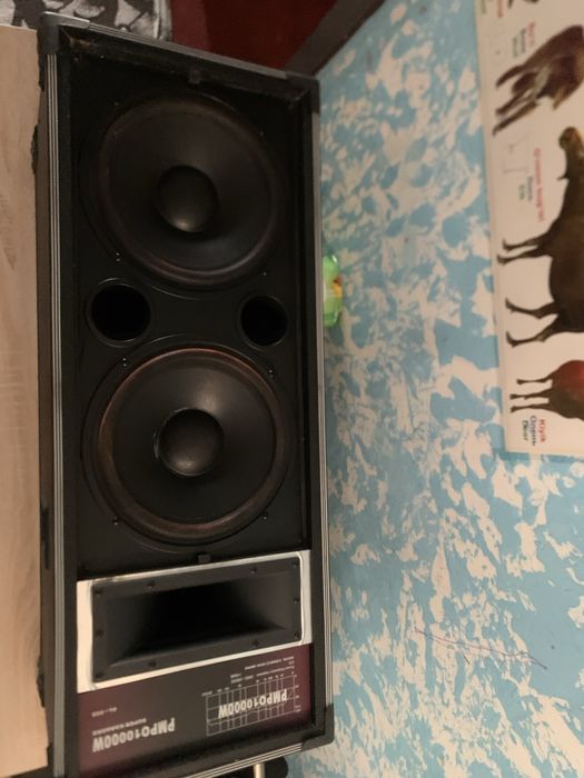 Kalonka sotiladi 1000w