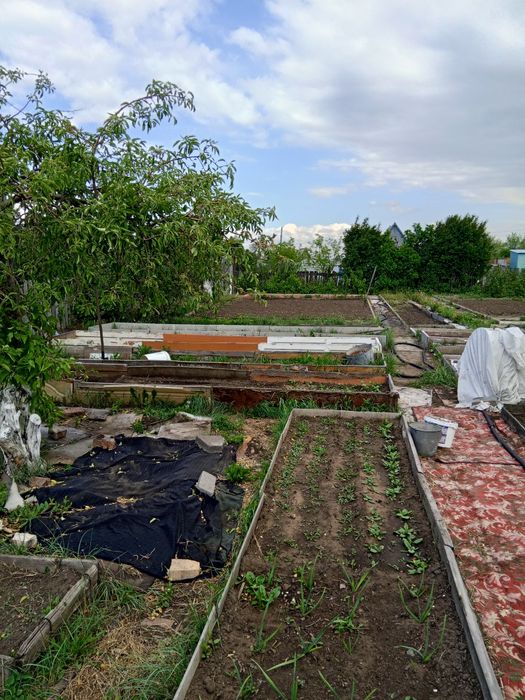 Срочно продам дачу