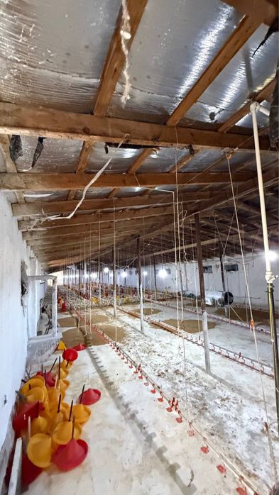 40 sotix yer sotiladi zangiota boz suv