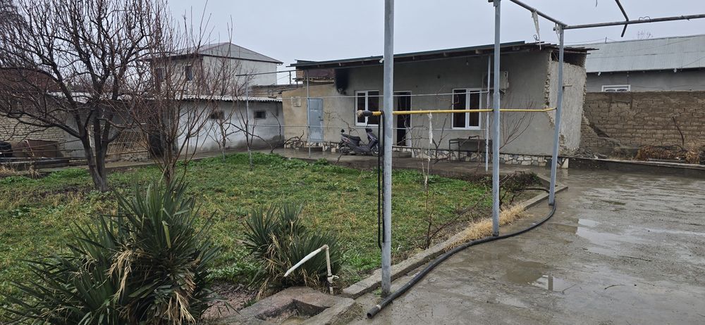 Ижарага дача дала ҳовли