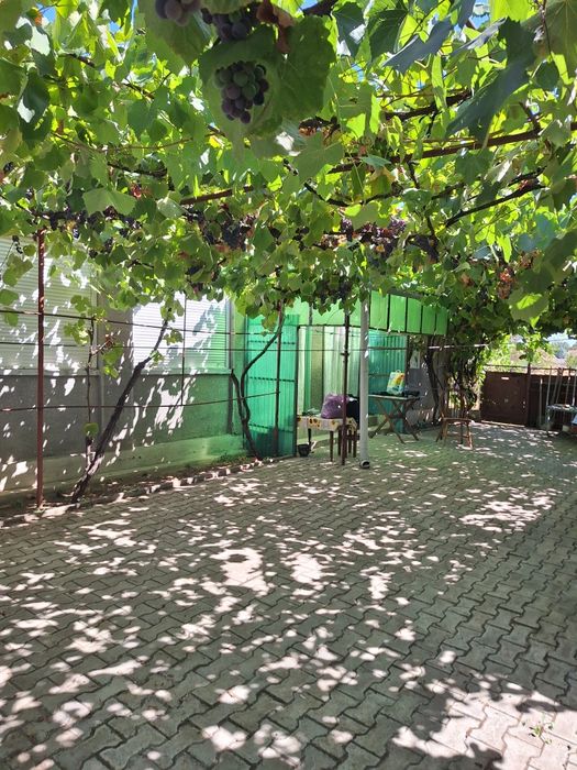 Vand casă in com. Macea, Arad.