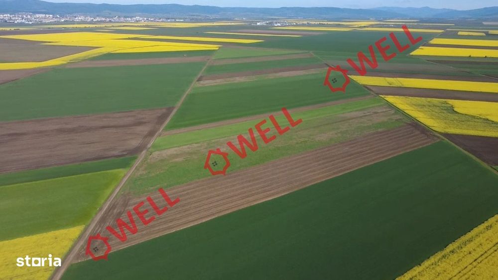 5 terenuri agricole de vânzare în Sântionlunca!