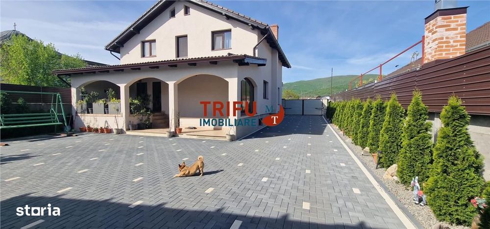 Casa 5 camere de vanzare Alba Micesti