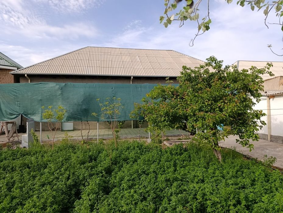 Xovli sotiladi 10sotix