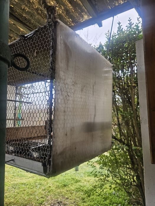 Масивна клетка за птици