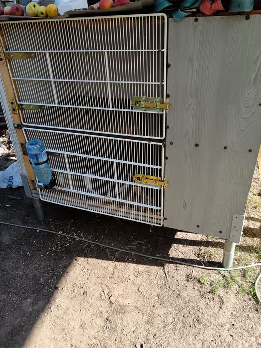 Cuști pentru iepuri