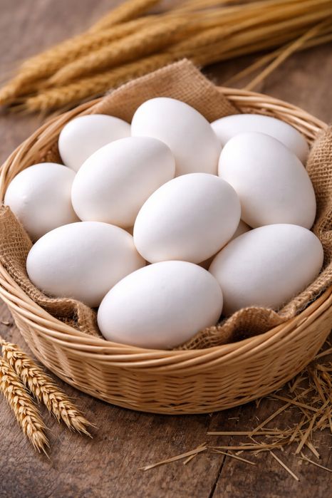 Гусиные яйца для инкубации и для готовки