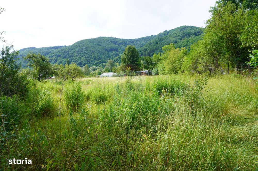 Teren 2785 mp, Central – Lângă Grădina Morii