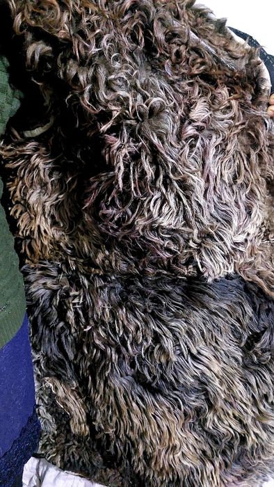 Кишги иссик шуба тулуп ичи жундан чупонлар учун