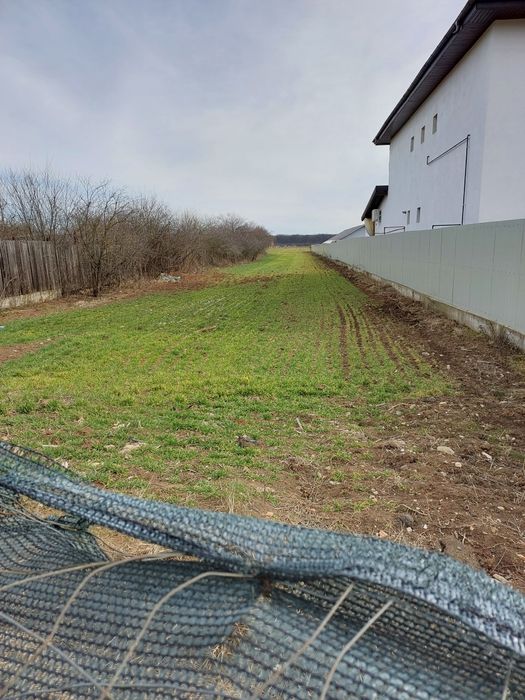 Teren intravilan BALOTESTI -Str.Rozelor