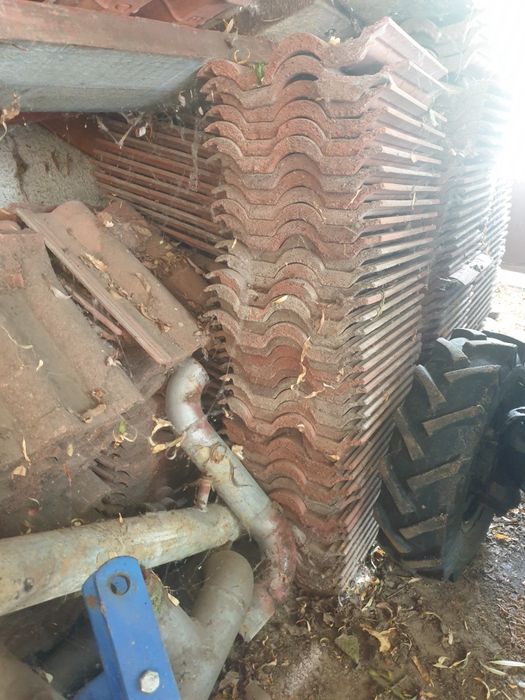 Car cu boi autentic.Tigle Elpreco