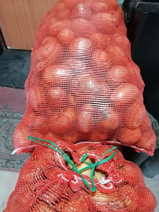 Продам картофель, сорт галла